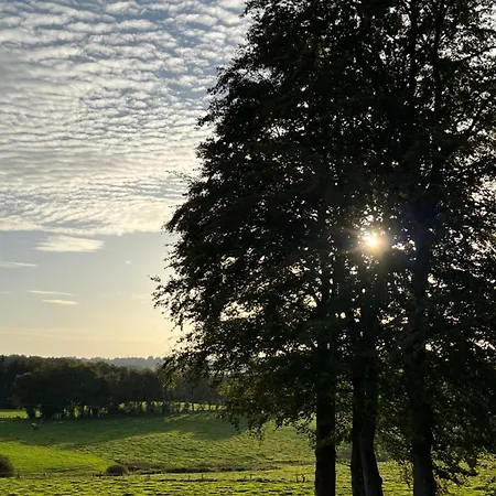 Διαμέρισμα Buchenblick