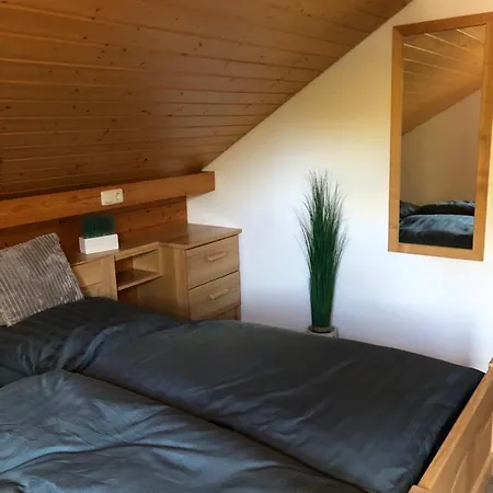 Buchenblick Montjoie