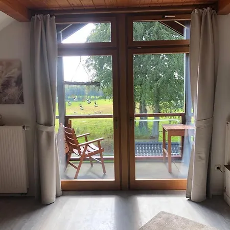 Buchenblick Montjoie